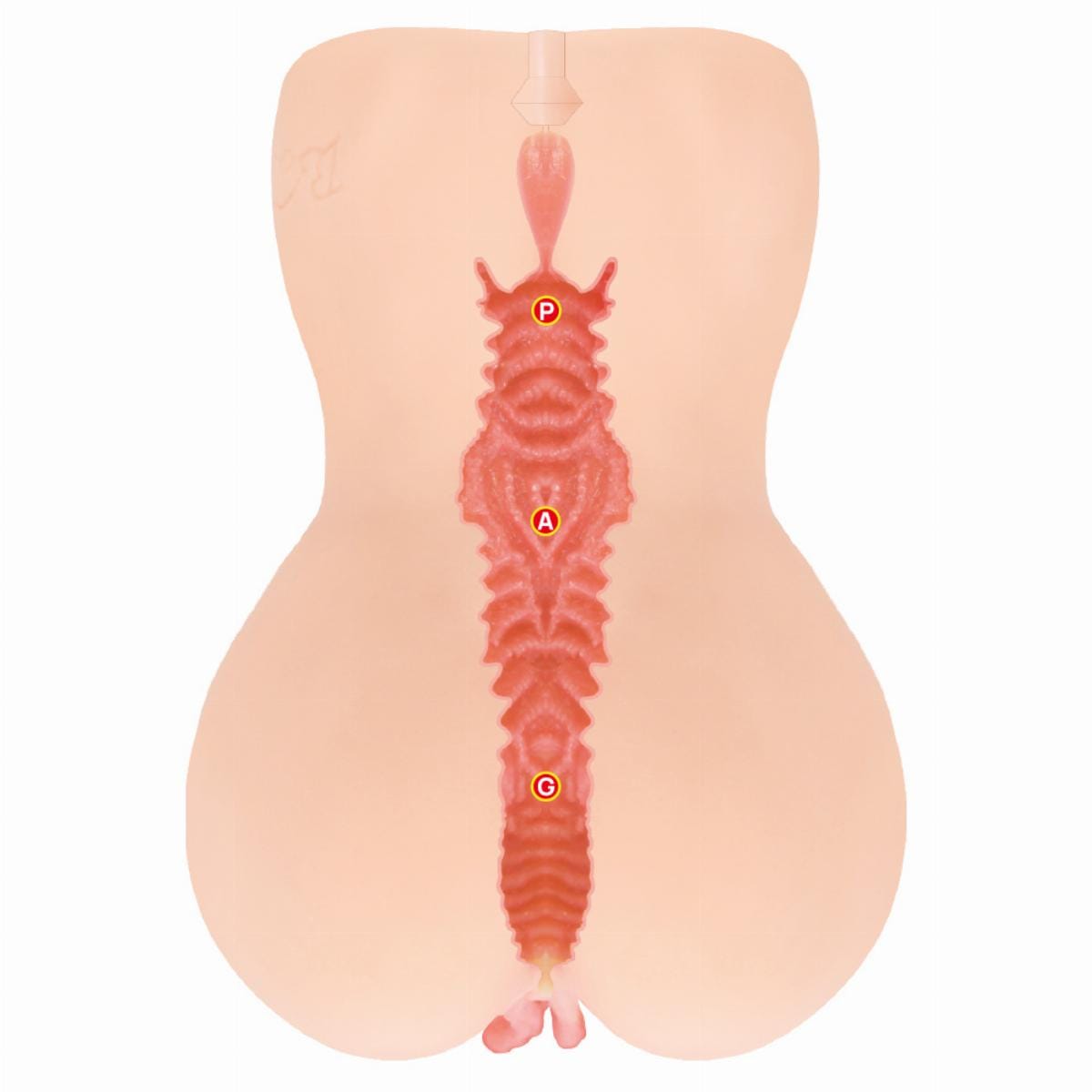 Kokos - Onahole Edition 001 Double Layer By Adel Masturbator (Beige) KK1066 Durio.sg
