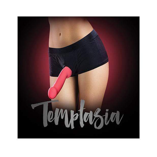Blush Novelties - Temptasia Strap On Harness Briefs S (Black) - Strap On w/o Dildo Durio.sg