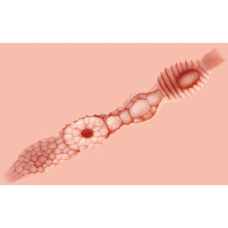 Kokos - Aurora Mini Doll Meiki (Beige) - Doll Durio.sg