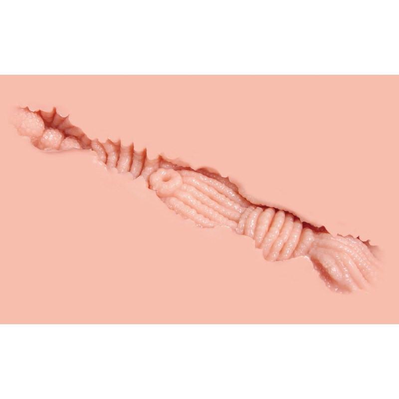 Kokos - Jasmine Mini Doll Meiki (Beige) - Doll Durio.sg