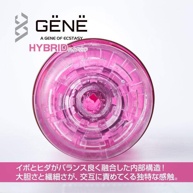 Kuudom - Gene of Ecstasy Hybrid Masturbator Cup (Purple) - Masturbator Resusable Cup (Non Vibration) Durio.sg