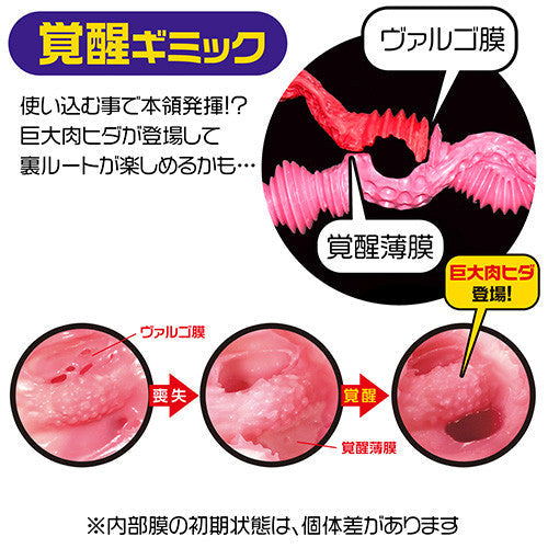 Magic Eyes - La Vie En Roses Masturbator - Masturbator Vagina (Non Vibration) Durio.sg