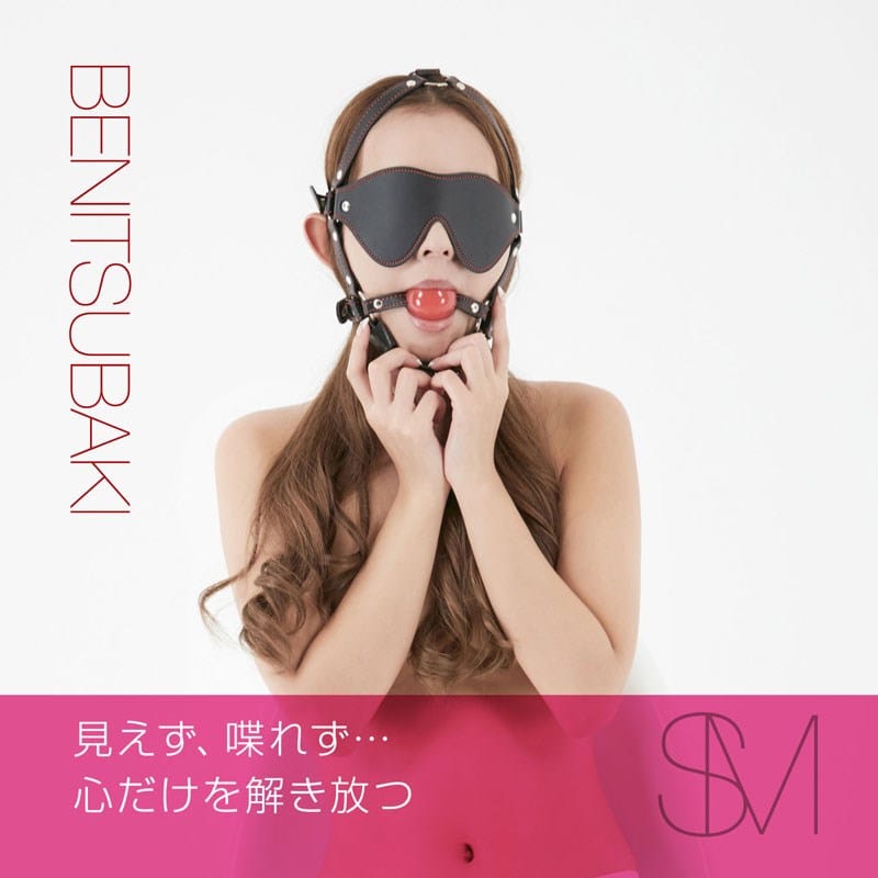 NPG - Benitsubaki Ball Gag with Blindfold Set (Black) - Mask (Blind) Durio.sg