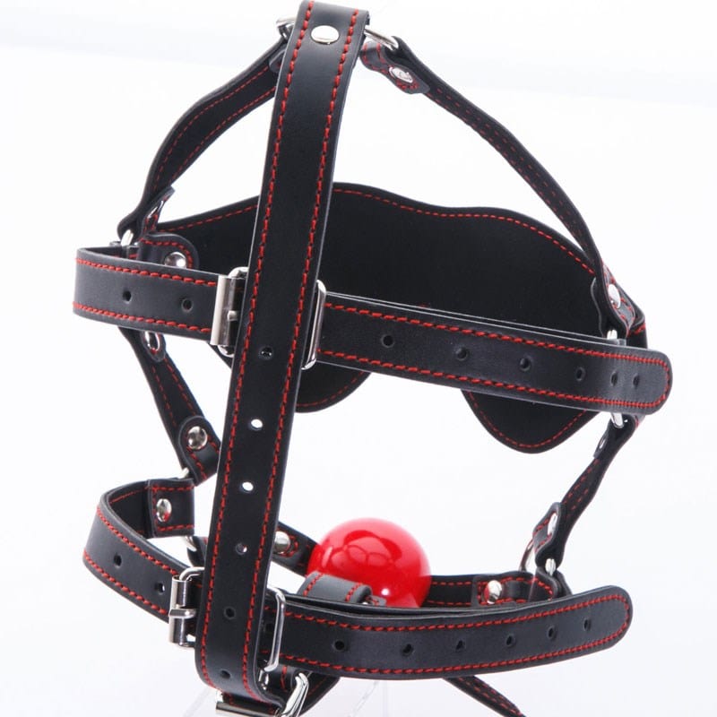 NPG - Benitsubaki Ball Gag with Blindfold Set (Black) - Mask (Blind) Durio.sg