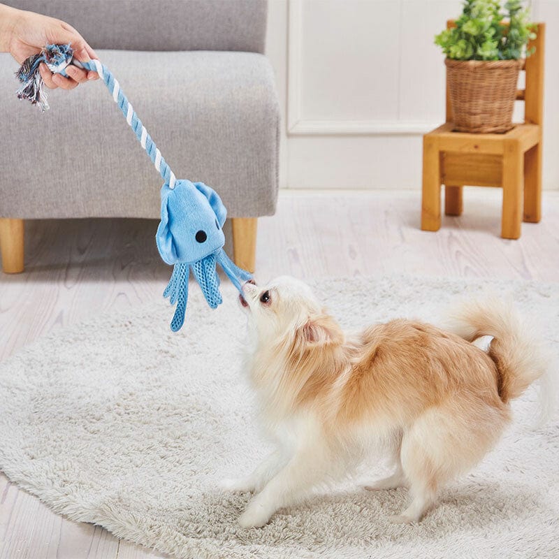 Petio Admate - Sturdy Rope Dog Toy Squid (Blue) - Dog Toys Durio.sg