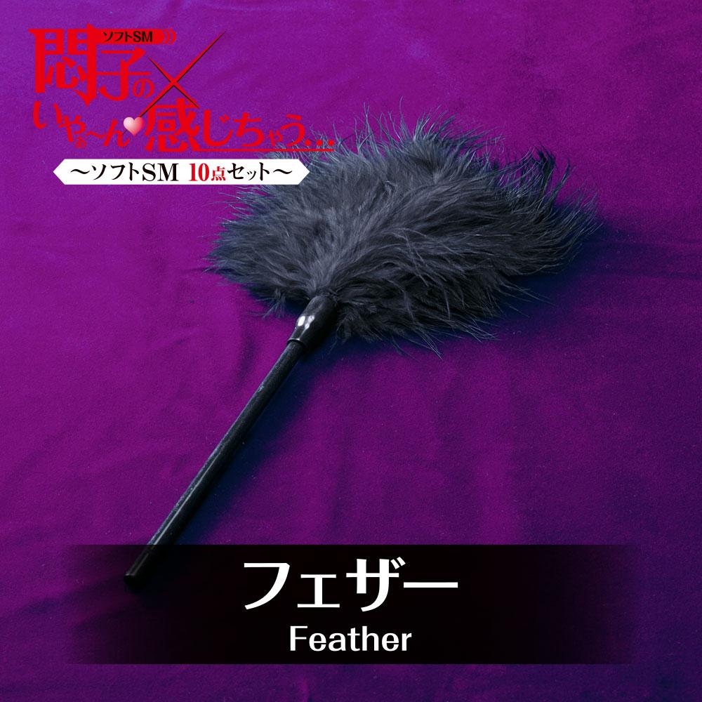 T-Best - Soft 10 Pieces BDSM Set (Black) - BDSM Set Durio.sg