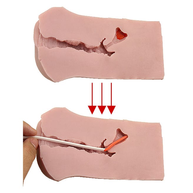 Tomax - Muses Arkhe Very Soft Masturbator Onahole (Beige) - Masturbator Vagina (Non Vibration) Durio.sg