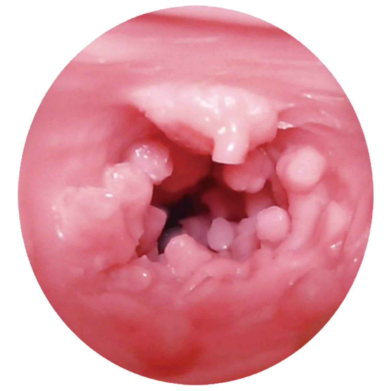 Toys Love - Vagi Plant Jungle Onahole (Pink) - Masturbator Vagina (Non Vibration) Durio.sg