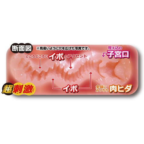 Toysheart - Erotic Sister Hard Eroane Onahole (Beige) - Masturbator Vagina (Non Vibration) Durio.sg