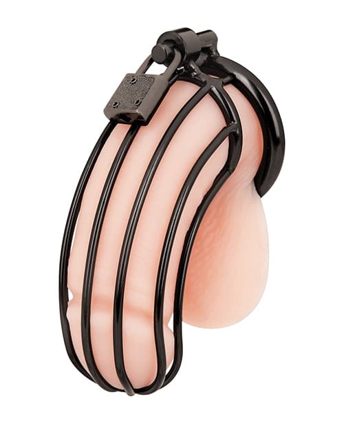 Blue Line - Prisoner Stainless Steel Chastity Cage (Black) BL1017 Durio.sg