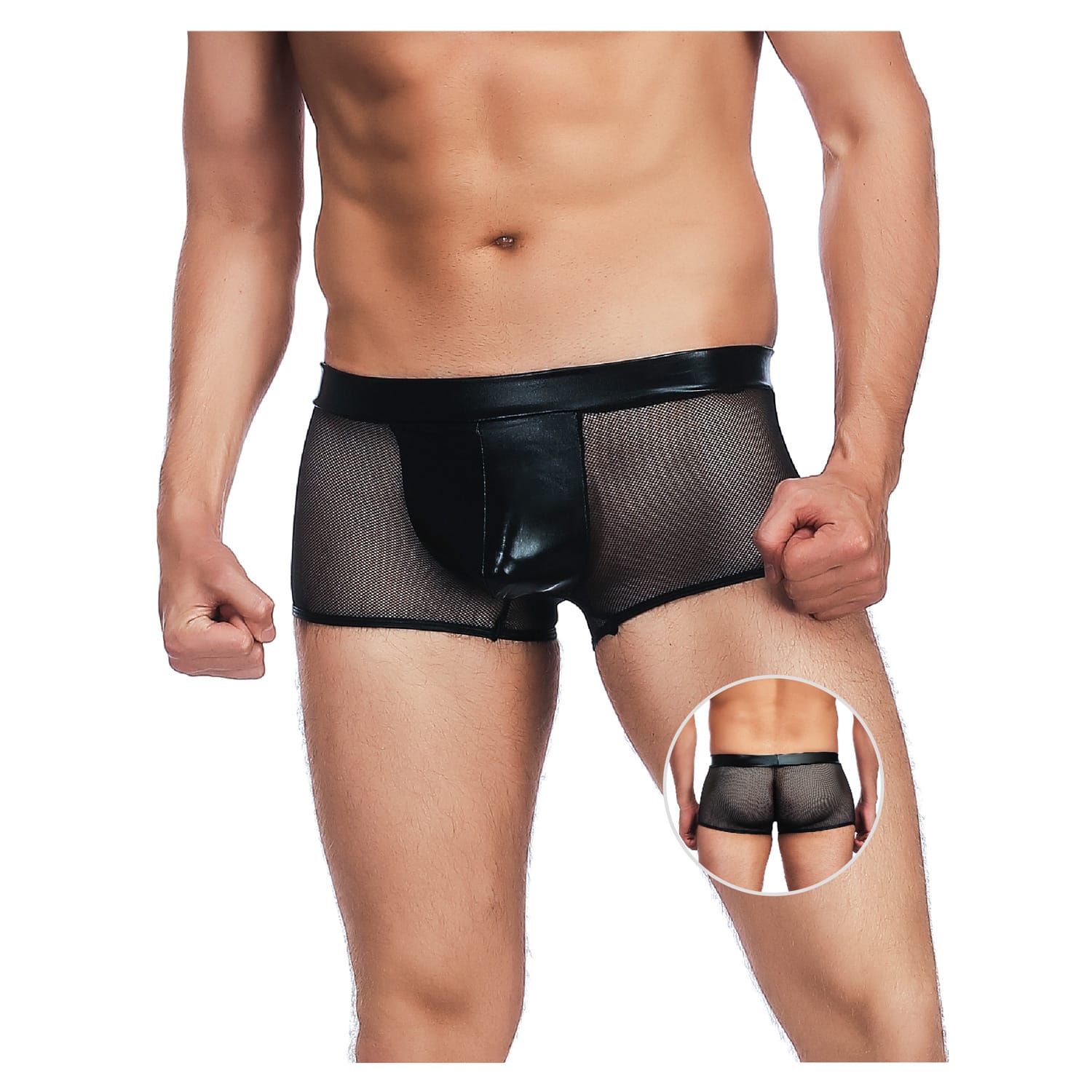 Stylish Platinum Guys - Men's Sheer Underwear Collection Durio.sg