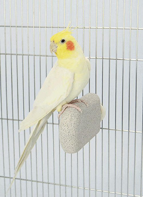 Sanko Shokai - J31 Nail Sharpening Stone Step for Small Animals (White) - Pet Accessories Durio.sg