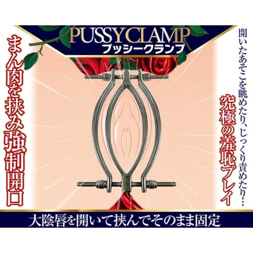 A One - Pussy Clamp (Silver) -  Clitoral Clamps  Durio.sg
