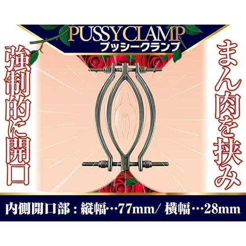 A One - Pussy Clamp (Silver) -  Clitoral Clamps  Durio.sg