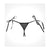 Allure Lingerie - Adore Lolita Panty O/S (Black) -  Crotchless Panties  Durio.sg