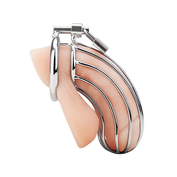 Blue Line - Prisoner Metal Chastity Cock Cage (Silver) -  Metal Cock Ring (Non Vibration)  Durio.sg