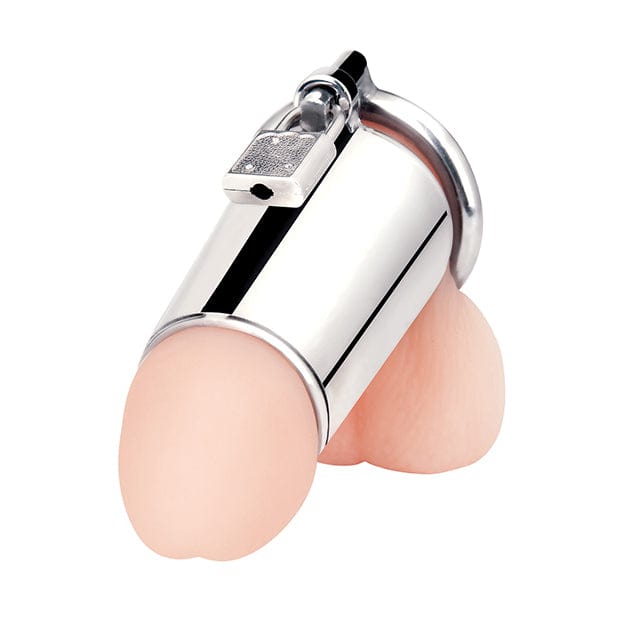 Blue Line - Ultimate Cock Tease Chastity Cock Cage (Silver) -  Metal Cock Cage (Non Vibration)  Durio.sg