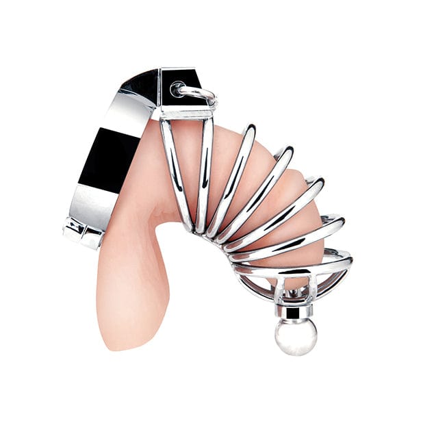 Blue Line - Urethral Play Chastity Cock Cage (Silver) -  Metal Cock Cage (Non Vibration)  Durio.sg