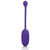 California Exotics - Rechargeable Kegel Ball Starter (Purple) -  Kegel Balls (Vibration) Rechargeable  Durio.sg
