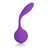 California Exotics - Silhouette S8 Rechargeable G Spot Vibrator (Purple) -  G Spot Dildo (Vibration) Rechargeable  Durio.sg