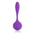 California Exotics - Silhouette S8 Rechargeable G Spot Vibrator (Purple) -  G Spot Dildo (Vibration) Rechargeable  Durio.sg