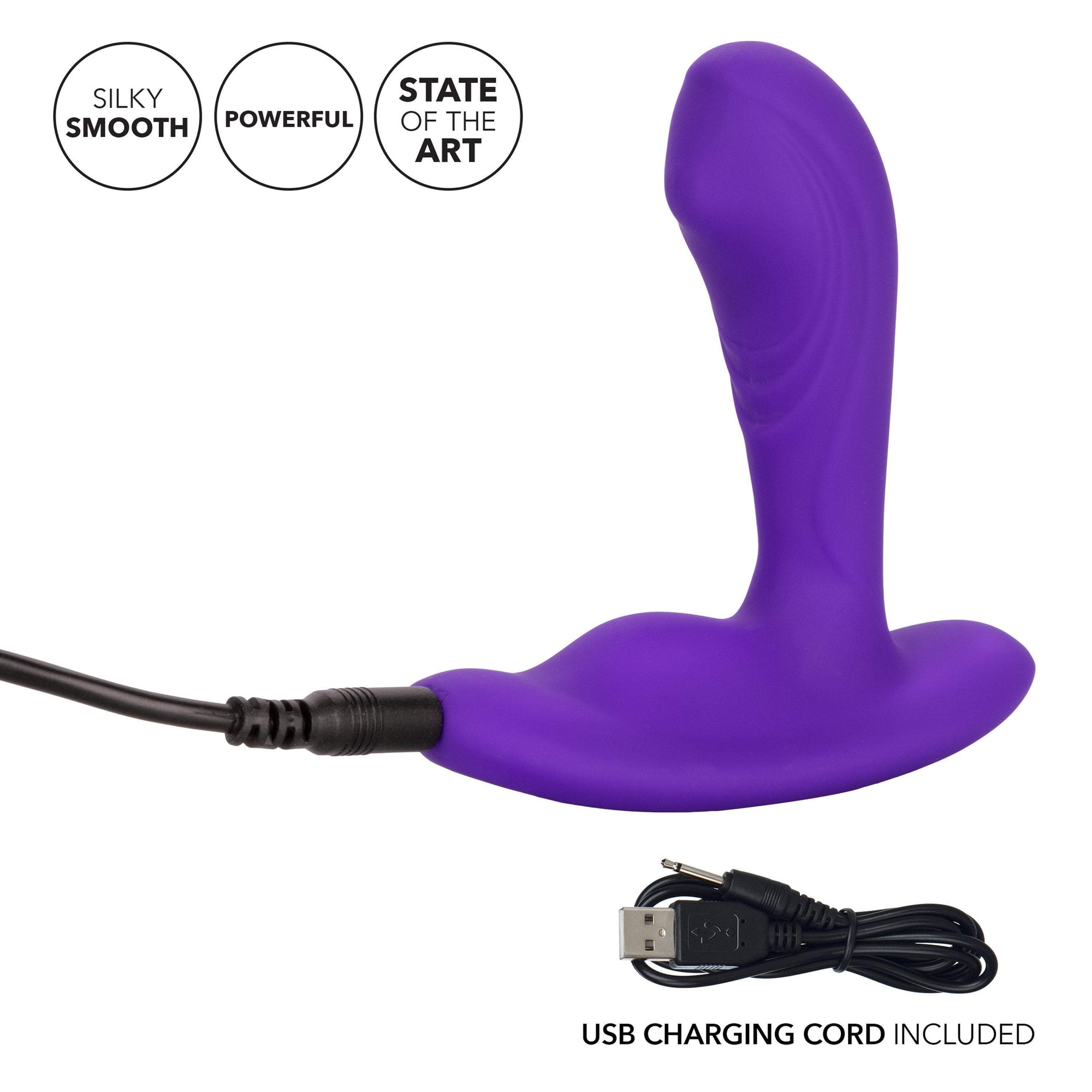 California Exotics - Silicone Remote Pinpoint Pleaser Prostate Massager (Purple) -  Prostate Massager (Vibration) Rechargeable  Durio.sg