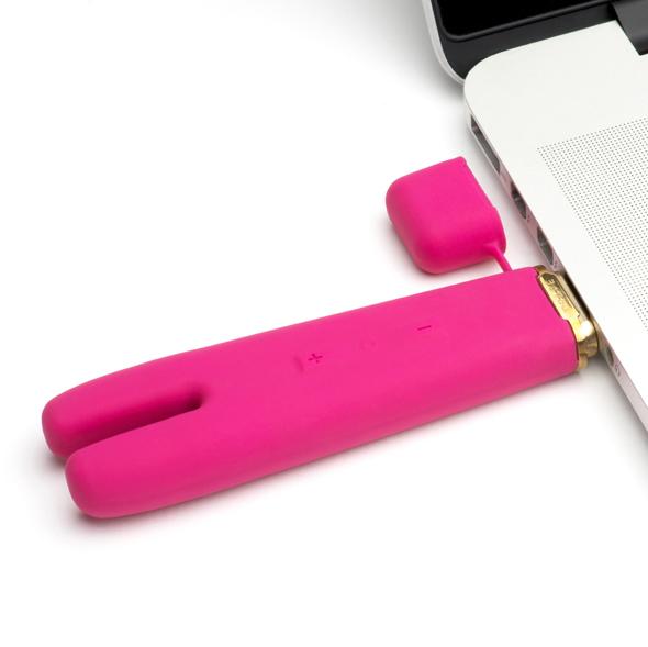 Crave - Duet Flex Vibrator (Pink) -  Discreet Toys  Durio.sg