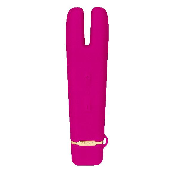 Crave - Duet Flex Vibrator (Pink) -  Discreet Toys  Durio.sg