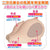 Eve Dolls - Beautiful Breasts Binyu G Cup Breast Masturbator (Beige) -  Masturbator Breast (Non Vibration)  Durio.sg