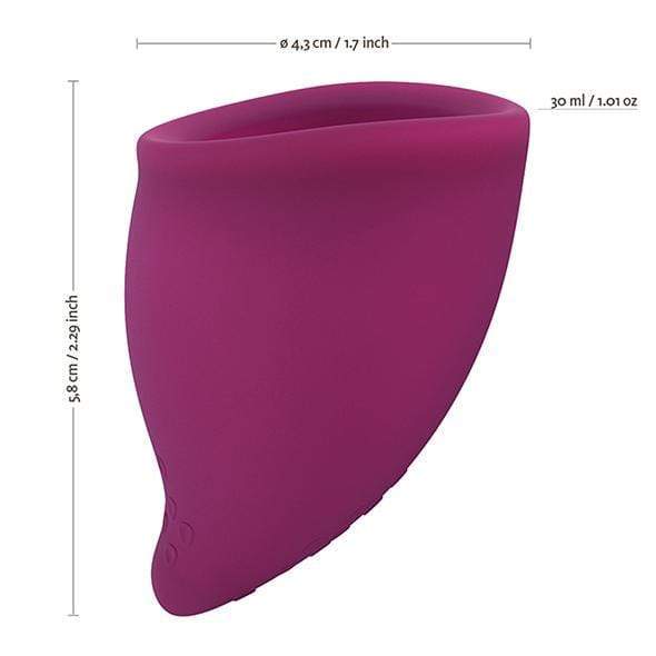 Fun Factory - Fun Cup Single Size B Menstrual Cup (Grape) -  Menstrual Cup  Durio.sg