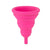 Intimina - Lily Compact Cup B Collapsible Menstrual Cup (Pink) -  Menstrual Cup  Durio.sg