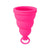 Intimina - Lily Cup One The Perfect Starter Menstrual Cup (Pink) -  Menstrual Cup  Durio.sg