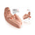 Kokos - Hera 3 Mini Doll with Vibration Meiki (Beige) -  Doll  Durio.sg