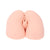 Kokos - Hera Big Hip with Vibration Meiki (Beige) -  Masturbator Vagina (Vibration) Non Rechargeable  Durio.sg