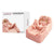 Kokos - Jasmine Mini Doll Meiki (Beige) -  Doll  Durio.sg