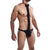Male Basics - Tuxedo Lace Jockstrap Underwear L/XL (Black) -  Gay Pride Underwear  Durio.sg