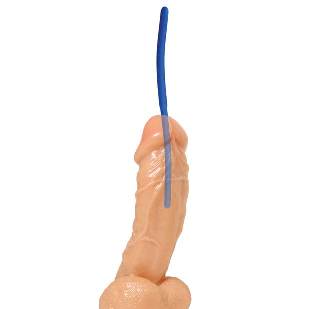 Master Series - Invasion Silicone Urethral Sound Trainer Set (Blue) -  BDSM (Others)  Durio.sg