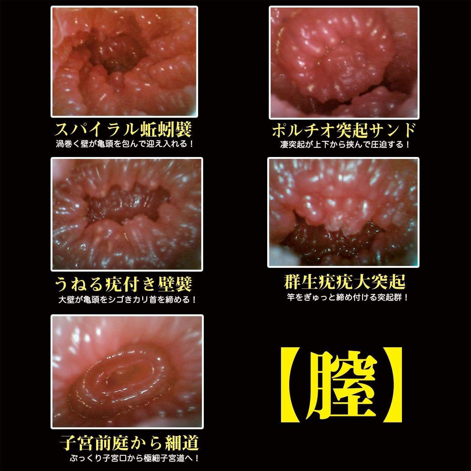 NPG - 2 Hole Futa Ana Punipuni Inmai Meiki Onahole (Beige) -  Masturbator Vagina (Non Vibration)  Durio.sg