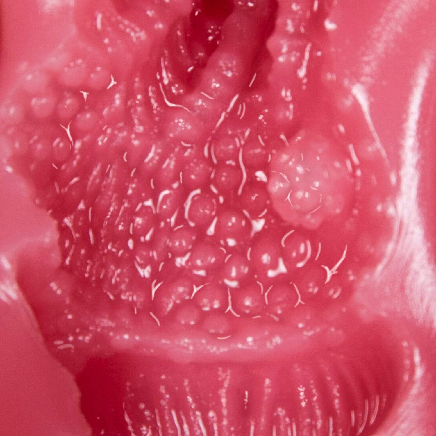 NPG - 40th Anniversary Tsubasa Amami Onahole (Beige) -  Masturbator Vagina (Non Vibration)  Durio.sg