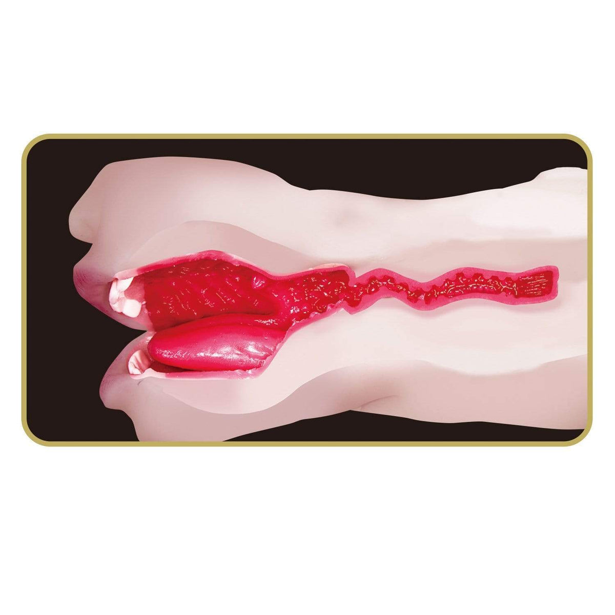 NPG - Geki Fera Takahashi Shoko Takasho Naoko Takahashi Mouth Masturbator (Beige) -  Masturbator Mouth (Non Vibration)  Durio.sg