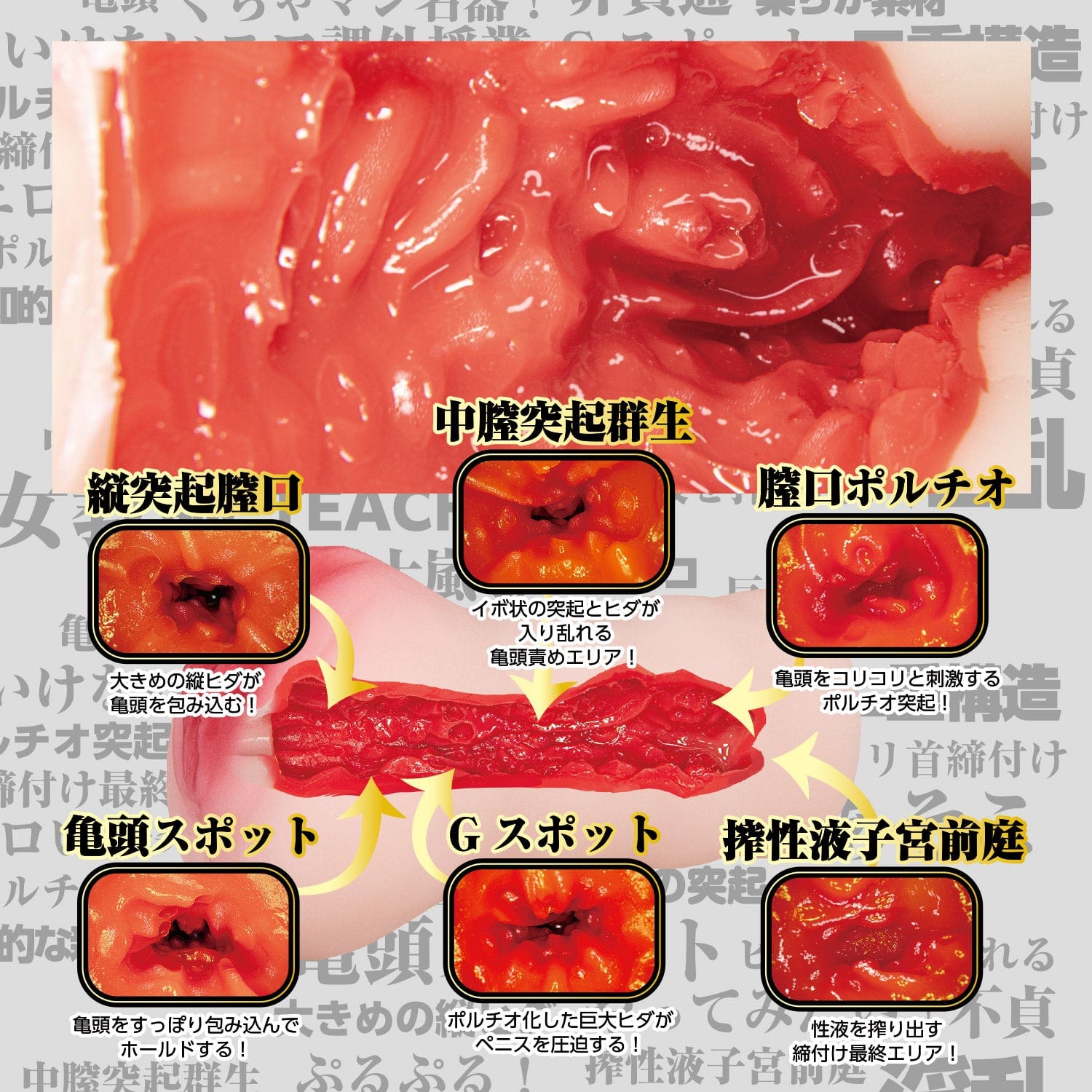 NPG - New Female Teacher Sex Natsu Igarashi Onahole (Beige) -  Masturbator Vagina (Non Vibration)  Durio.sg