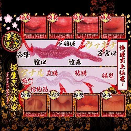 NPG - Nipporhban Shinsei Gokujyou Namagoshi Dual Layer Extreme Pleasure Hips Masturbator 5.4kg (Beige) -  Masturbator Vagina (Non Vibration)  Durio.sg