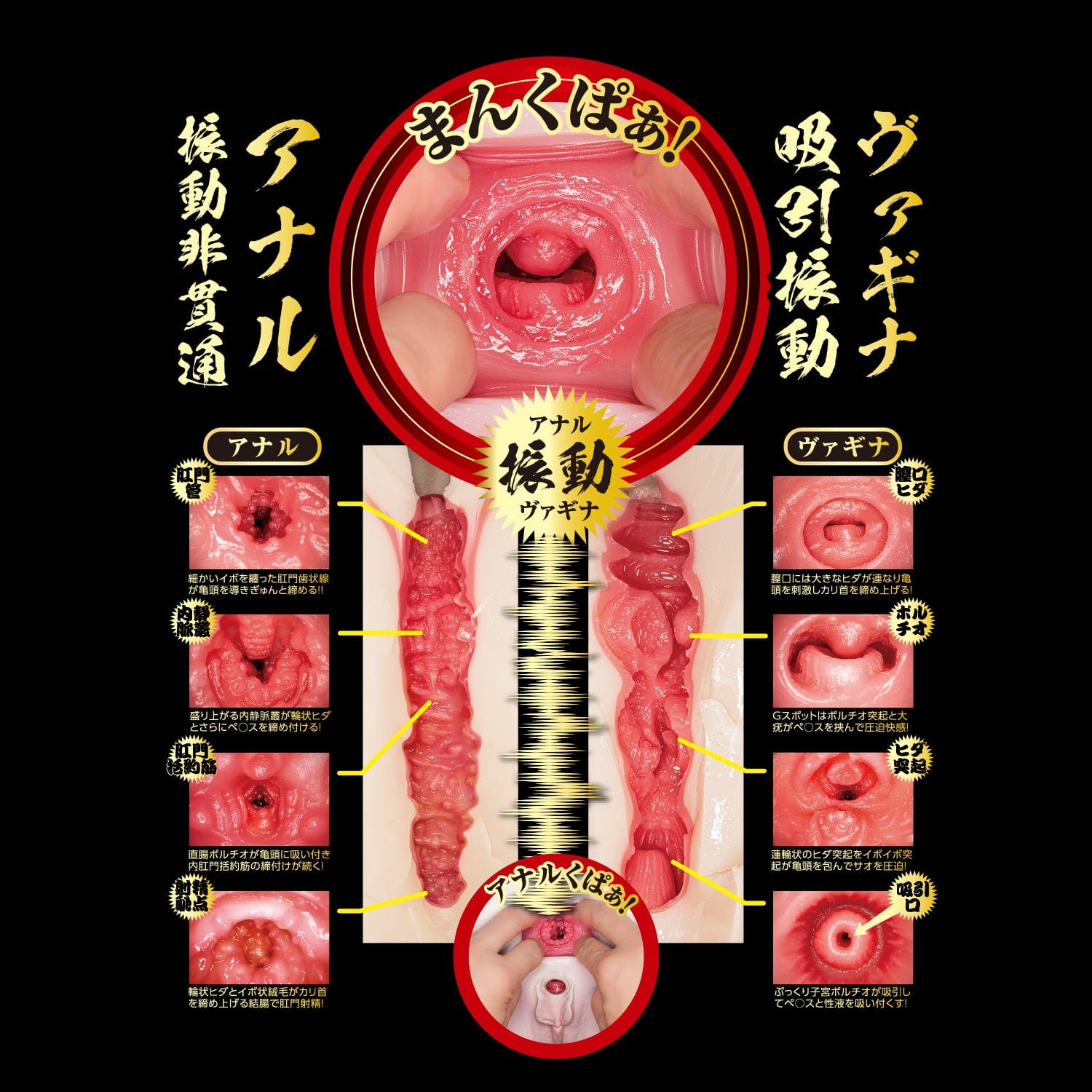 NPG - Sucking And Wriggling Raw Waist Masterpiece Mina Kitano Onahole (Beige) -  Masturbator Ass (Non Vibration)  Durio.sg