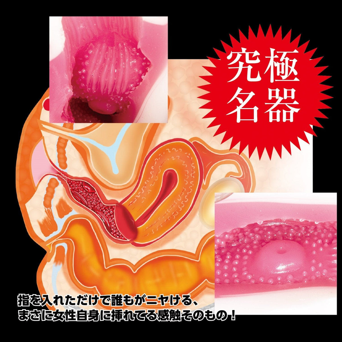 NPG - The Dignity of a Masterpiece Black Label Meiki Onahole (Beige) -  Masturbator Vagina (Non Vibration)  Durio.sg