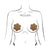 Pastease - Basic Daisy Pasties Nipple Covers O/S (Tan) -  Nipple Covers  Durio.sg