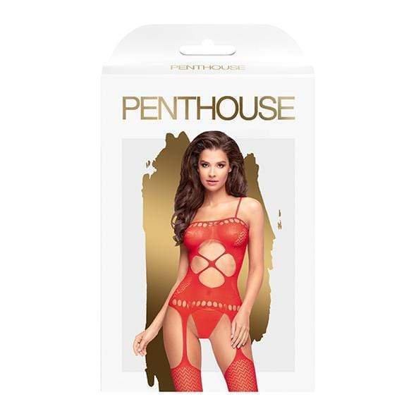 Penthouse - Hot Nightfall Geometric Net Bodystocking Costume S-L (Red) -  Bodystockings  Durio.sg