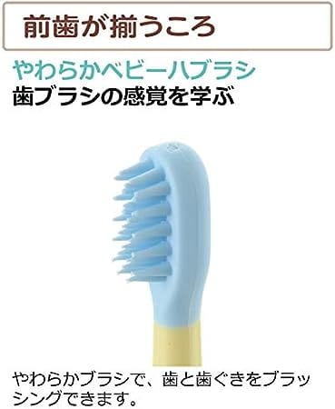 Richell - T.L.I Try Baby Toothbrush Set for Back Teeth (4 Pieces) -  Baby Toothbrush  Durio.sg