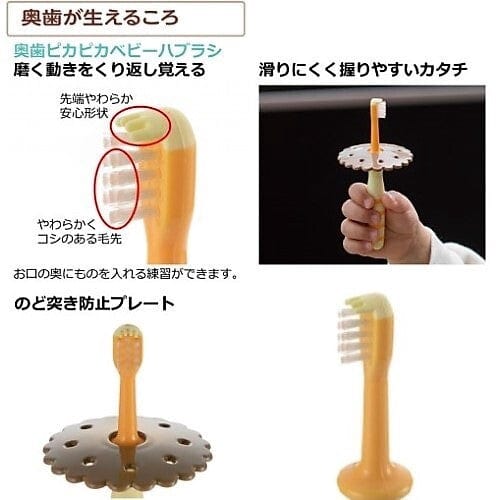 Richell - T.L.I Try Back Teeth Shiny Baby Toothbrush (2 Pieces) -  Baby Toothbrush  Durio.sg