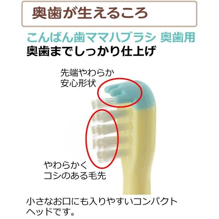 Richell - T.L.I Try Good Evening Tooth Mama Baby Toothbrush For Back Teeth (2 Pieces) -  Baby Toothbrush  Durio.sg