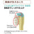 Richell - T.L.I Try Good Evening Tooth Mama Baby Toothbrush For Back Teeth (2 Pieces) -  Baby Toothbrush  Durio.sg